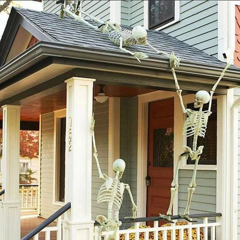 Holly Halloween Skeleton Decoration | Realistic Humanoid Model for Indoor and Outdoor Use 5